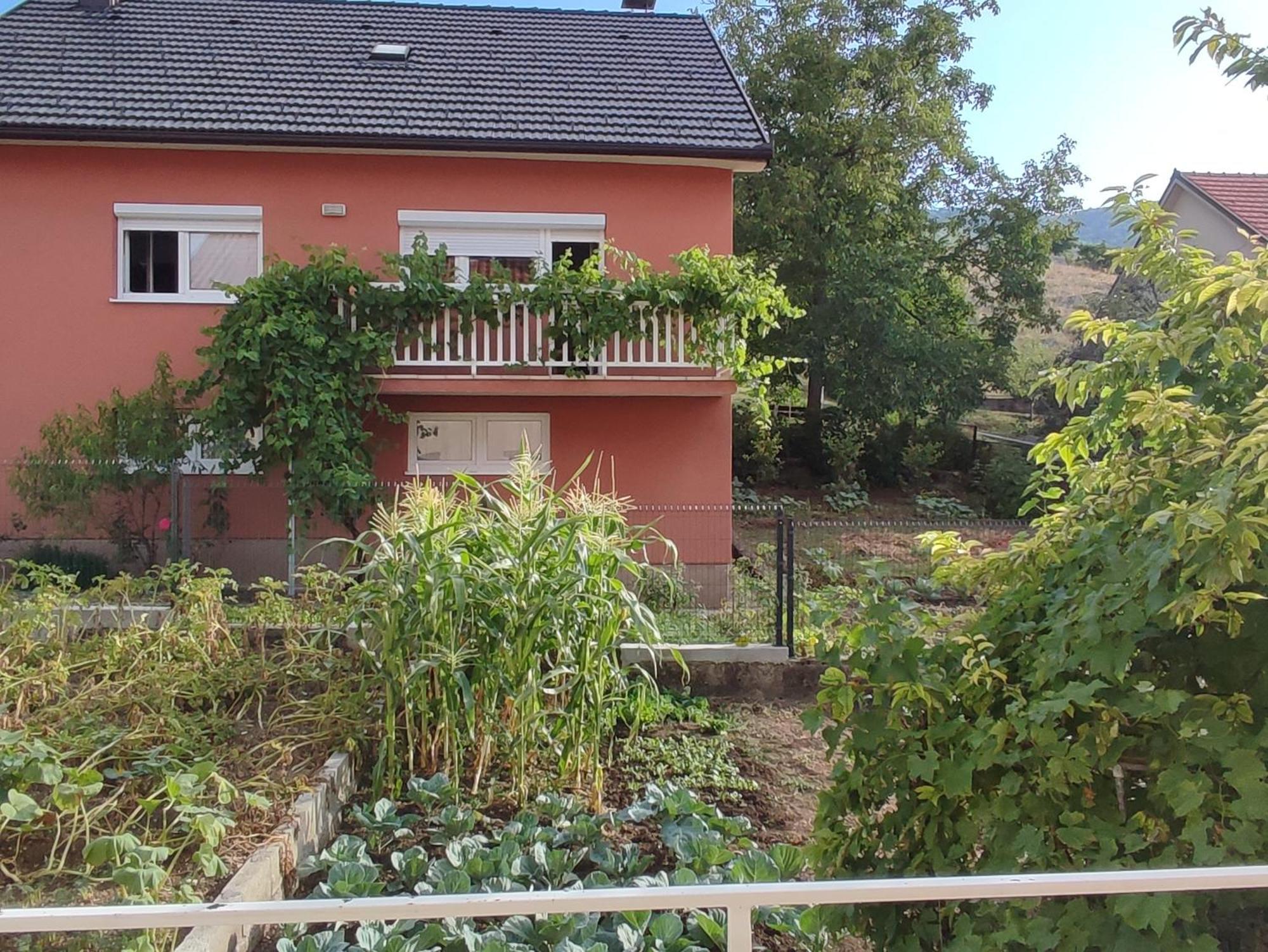 Apartman Bor Livno Exterior photo